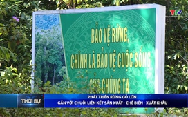 Bản tin Thời sự trưa 17/11/2025