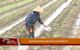 Thanh Hóa ngày mới 18/11/2025