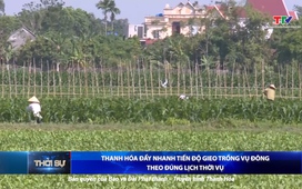 Bản tin Thời sự 16h ngày 2/11/2025