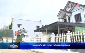 Bản tin Thời sự tối 2/11/2025