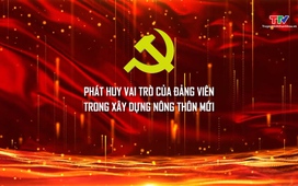 Đảng trong cuộc sống 20/11/2025