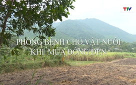 Khuyến nông 21/11/2025