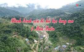 Ký sự miền sơn cước ngày 21/11/2025