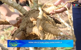 Bản tin Nông nghiệp – Nông thôn ngày 22/11/2025