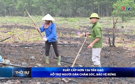 Bản tin Thời sự 16h ngày 23/11/2025