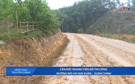 Hộp thư truyền hình ngày 24/11/2025