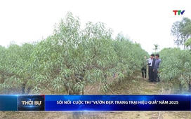 Bản tin Thời sự 9h ngày 25/11/2025 