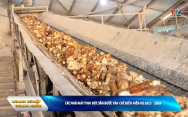 Bản tin Doanh nghiệp - Doanh nhân ngày 26/11/2025