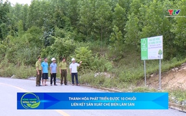 Bản tin Nông nghiệp – Nông thôn 29/11/2025