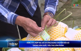 Bản tin Thời sự 9h ngày 30/11/2025