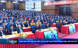 Bản tin Thời sự trưa 29/11/2025 