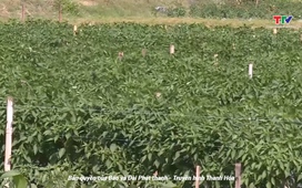 Bản tin Thời sự trưa 3/11/2025