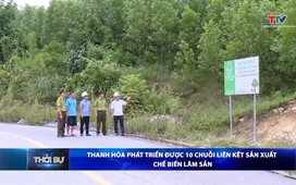 Bản tin Thời sự 16h ngày 30/11/2025