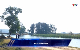 Bản tin Văn hóa 3/11/2025