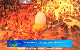 Bản tin Nông nghiệp - Nông thôn ngày 05/11/2025