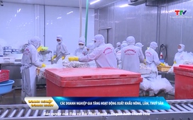 Bản tin Doanh nghiệp - Doanh nhân ngày 05/11/2025