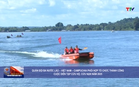 Truyền hình Quân khu 4 ngày 6/11/2025