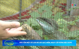 Bản tin Nông nghiệp - Nông thôn ngày 10/12/2025