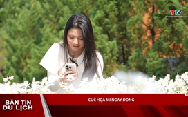 Bản tin Du lịch ngày 11/12/2025