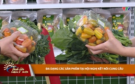 Thanh Hóa ngày mới ngày 12/12/2025