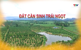 Ký sự miền sơn cước ngày 12/12/2025