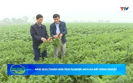 Bản tin Nông nghiệp – Nông thôn 13/12/2025