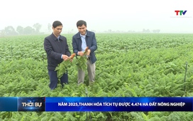 Bản tin Thời sự 14h ngày 14/12/2025