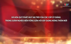 Đảng trong cuộc sống 16/12/2025