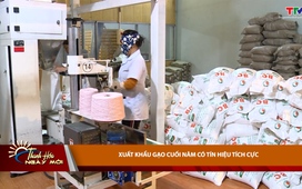 Thanh Hoá ngày mới ngày 17/12/2025