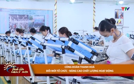 Thanh Hóa ngày mới ngày 19/12/2025