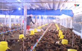 Bản tin Thời sự trưa ngày 19/12/2025