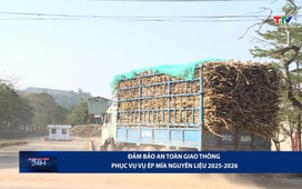 An toàn giao thông 24h ngày 20/12/2025