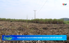 Bản tin Nông nghiệp – Nông thôn 20/12/2025