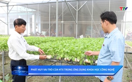 Khoa học và đời sống ngày 22/12/2025