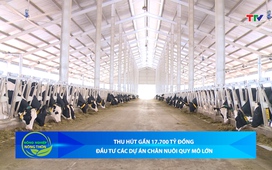 Bản tin Nông nghiệp – Nông thôn 24/12/2025