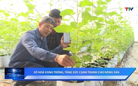 Khoa học và Đời sống ngày 26/12/2025