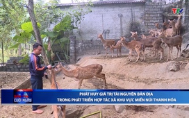 Bản tin Thời sự cuối ngày 29/12/2025