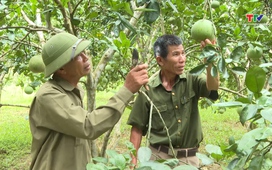 Phóng sự: Như Thanh đẩy mạnh tái cơ cấu kinh tế gắn với xây dựng nông thôn mới nâng cao