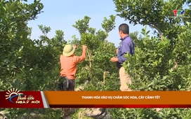 Thanh Hóa ngày mới ngày 07/12/2025