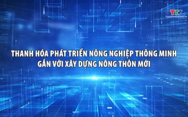 Phóng sự: Thanh Hóa phát triển nông nghiệp thông minh gắn với xây dựng nông thôn mới
