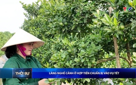 Bản tin Thời sự trưa 08/12/2025