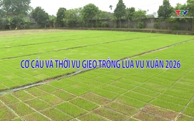 Khuyến nông 9/12/2025