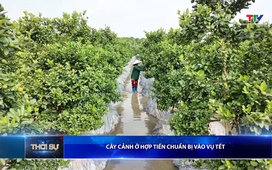 Bản tin Thời sự 16h ngày 9/12/2025