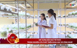 Khoa học và Đời sống ngày 31/01/2025