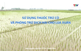 Khuyến nông ngày 11/02/2025