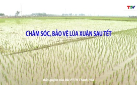 Khuyến nông 7/2/2025