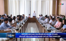 Bản tin Thời sự tối ngày 24/4/2025