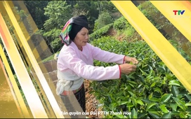 Ký sự miền sơn cước ngày 25/4/2025