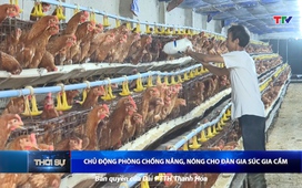 Bản tin Thời sự trưa ngày 10/5/2025