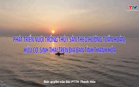 Khuyến nông 13/5/2025